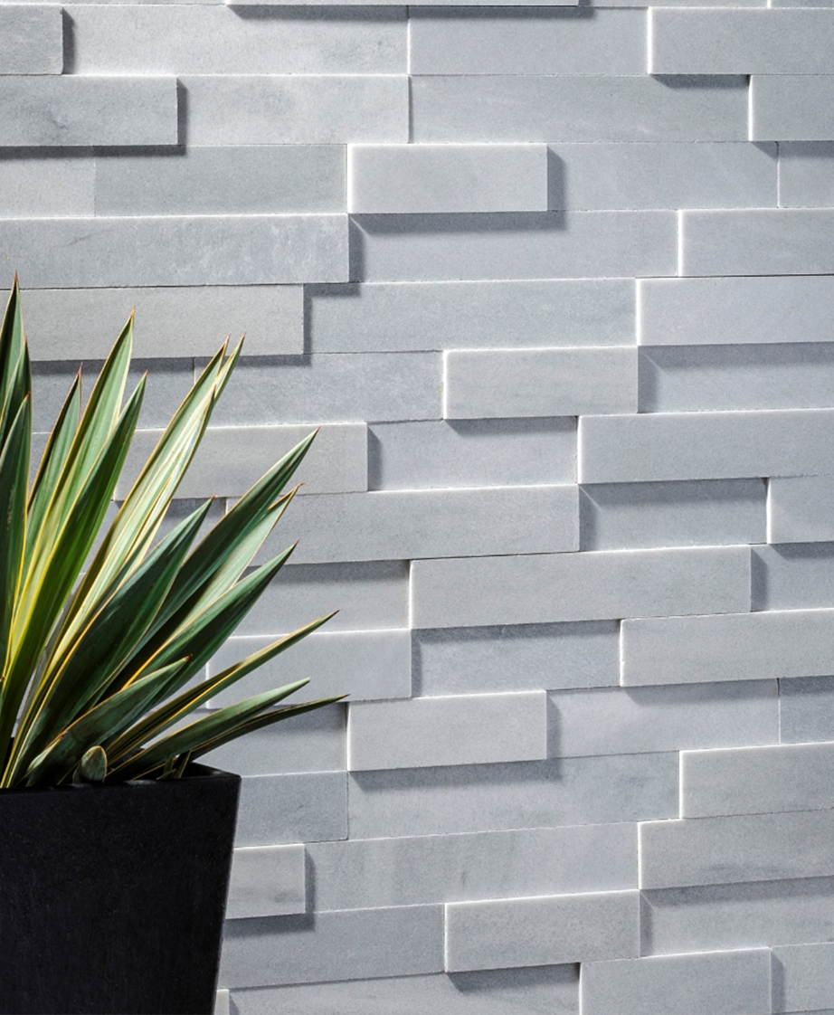 Long rectangle, white Island Stone tile wall with plant.